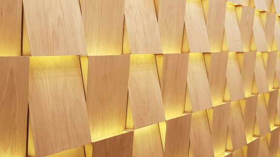 Boletín informativo Noviembre 2025